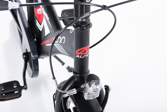 ALDO Roadstar 20" H mat zwart red stripe