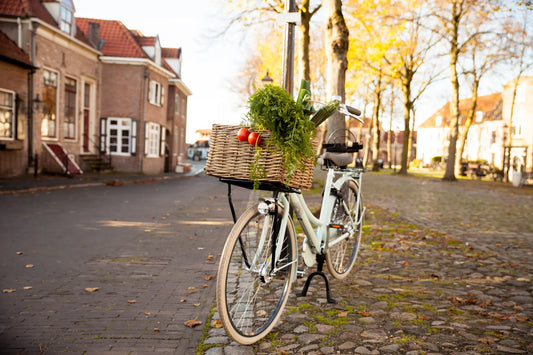 Steco voordrager transport 26"/28" wit