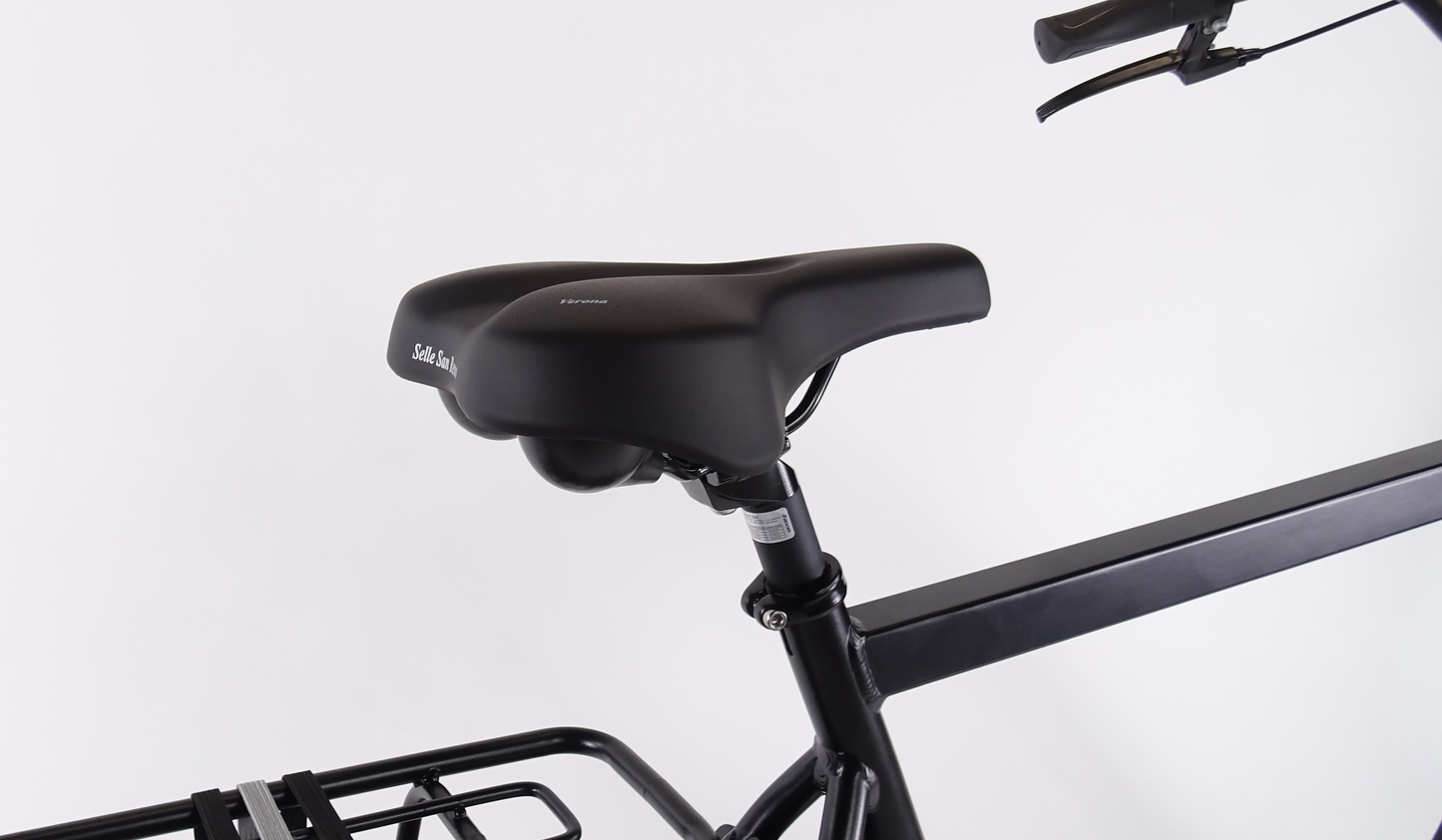 ALDO Strada heren 28" 3GRB - 61 cm mat zwart