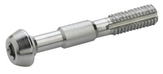 Elvedes ELV2012103 bleed bouten RVS (10)