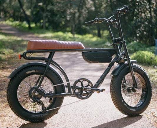 Bub. 100-406 / 20x4.00 Delium Thundr zwart - Fatbike