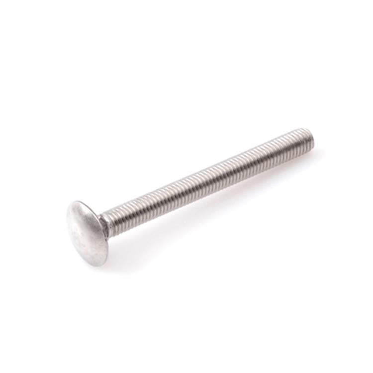 Zesk. bout RVS M5 x 40