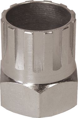 Cyclus pionafnemer Campa