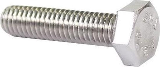 Zesk. bout RVS M6 x 25