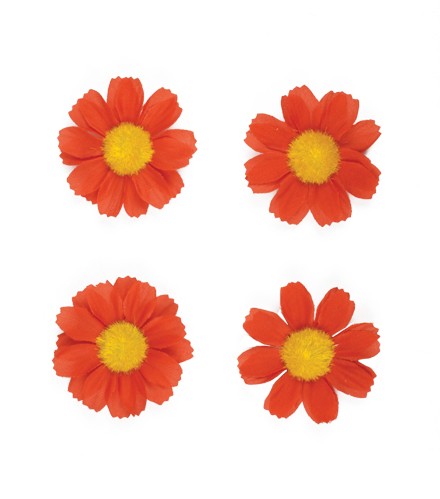 Basil 50188 Flower, vier margrietjes, rood