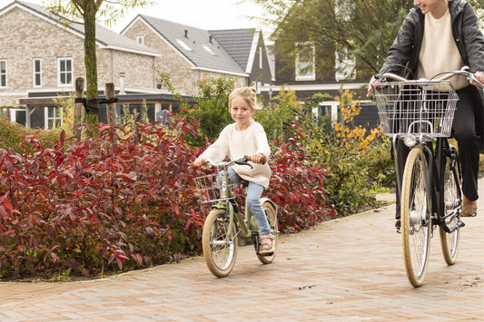 Steco Vintage mand mirror chrome, goed te combineren met de voordrager 32009427