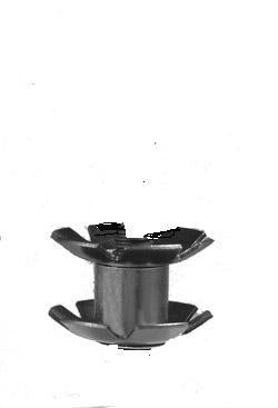 Tecora E Starlock moer Ahead 1“