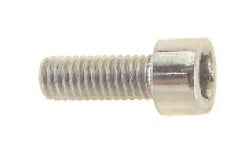 Inbusbout M5 x 12 RVS (bidon)