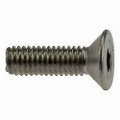 Bout met verz. kop M5 x 16 RVS (215726)