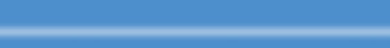 Elvedes 2015013 ATB/RACE remset RVS universeel BLAUW