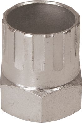 Cyclus pionafnemer Sachs Aris