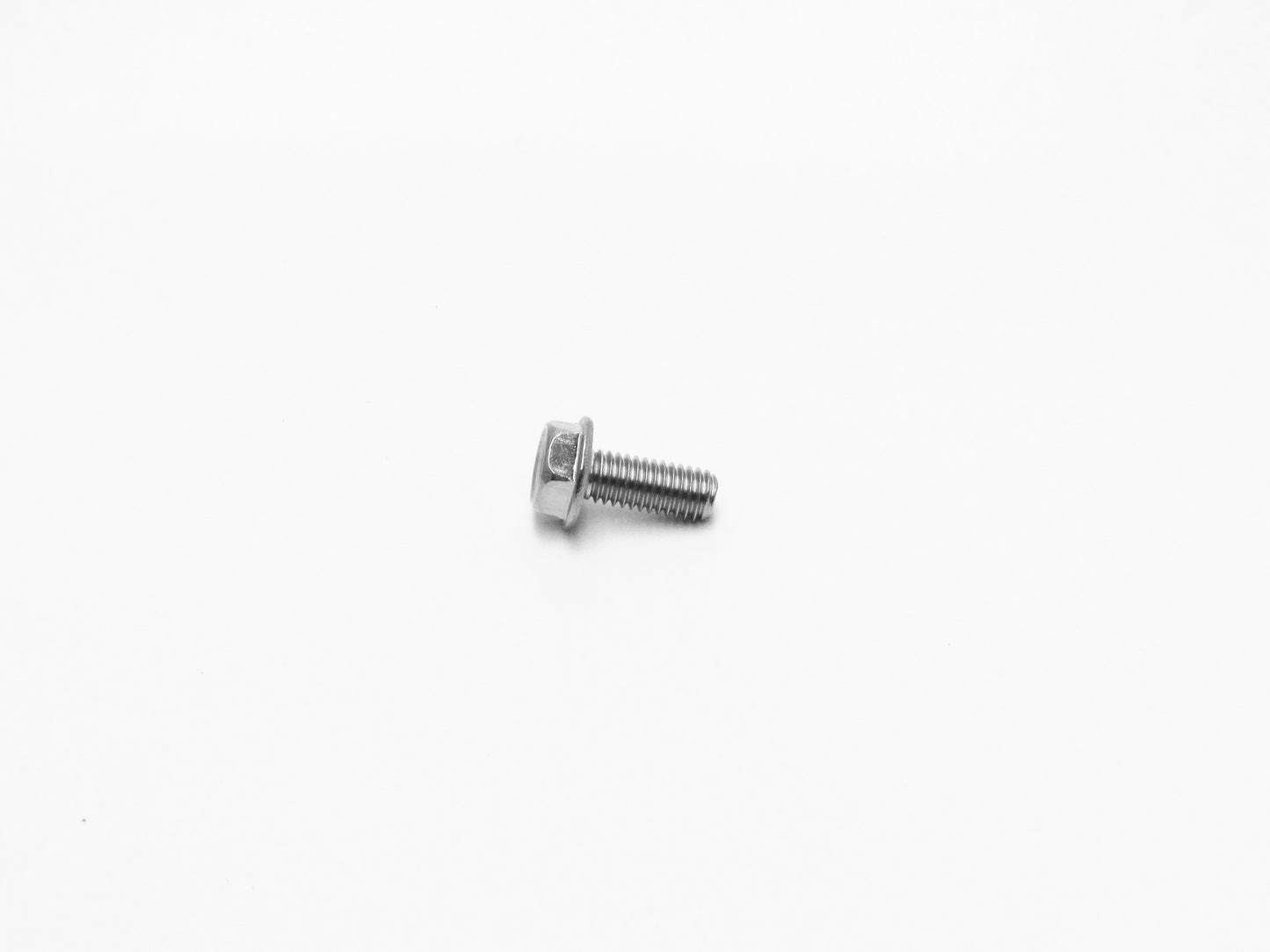 Spatbordbout M5 x 12 RVS + borgmoer