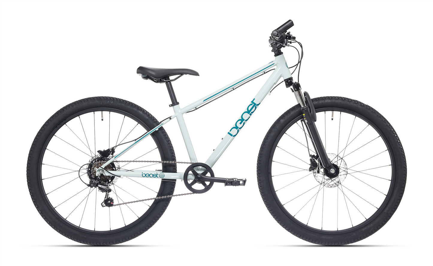 BFK 26" The BEAST 6V seagrass DISC-brake - 26TB190D