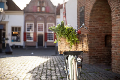 Steco voordrager transport 26"/28" mat zwart