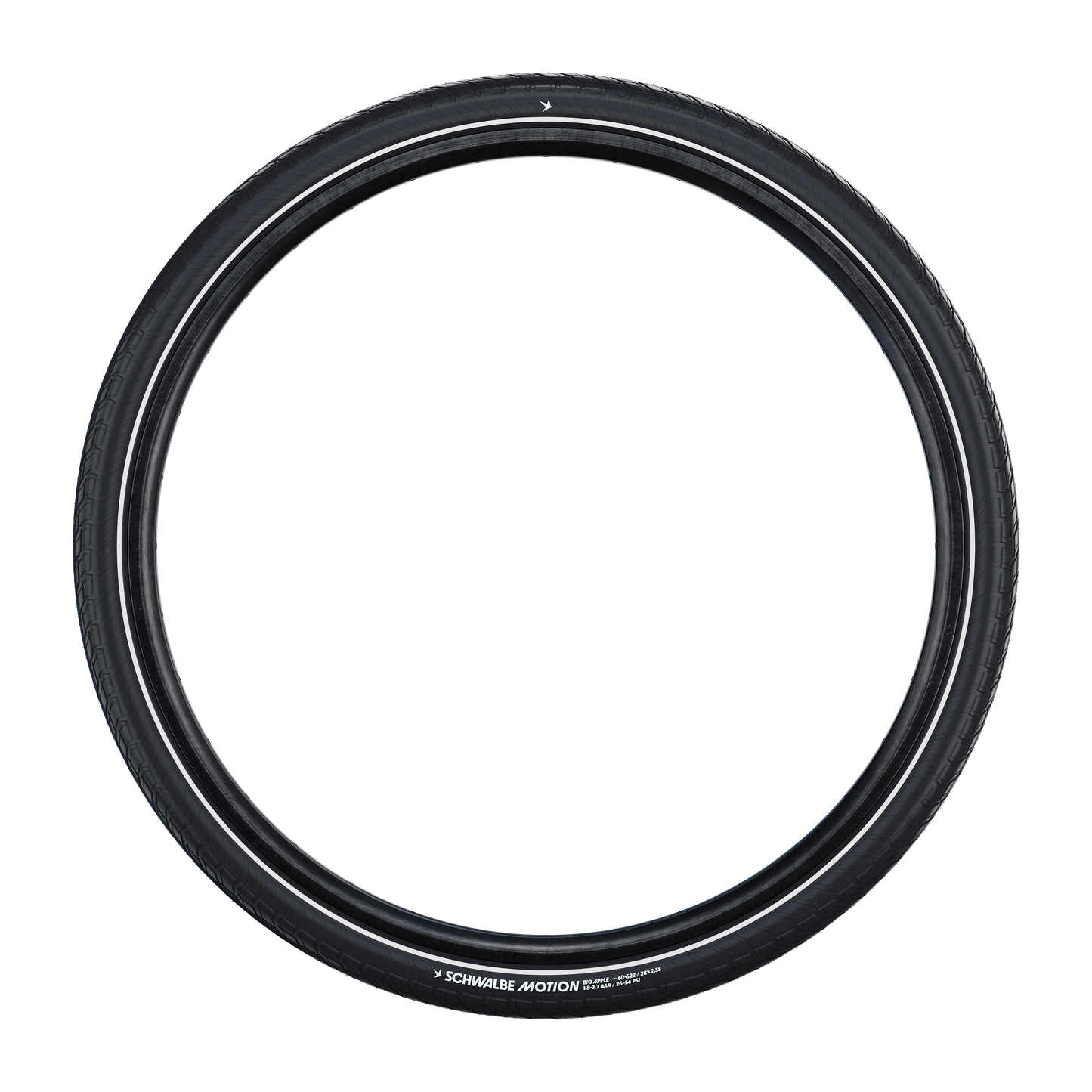 Bub. 50-305 / 16x2.00 HS 632 Schwalbe Motion Big Apple RaceGuard B/B-SK+RT - 11159651