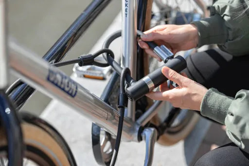 AXA Newton Mini Pro + cable 10-100