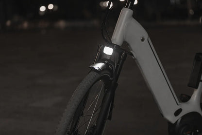 AXA Nxt 30  E-Bike koplamp 6-48V