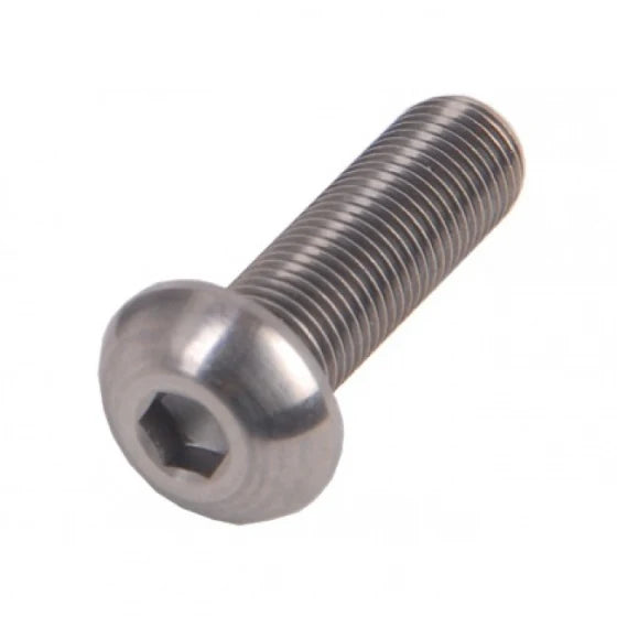 Bolkop inbusbout M6 x 20 RVS (25) - 462620