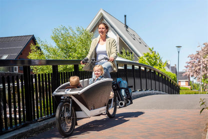 Steco Buggy-Mee Advanced mat zwart