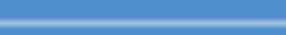 Elvedes 2015013 ATB/RACE remset RVS universeel BLAUW