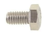 Zesk. bout RVS M6 x 10