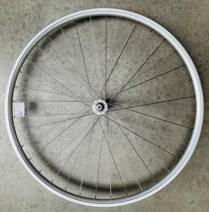 Voorwiel 28" - 622X19 Skorpion alu. zilver FM21 vast sp. 14 RVS