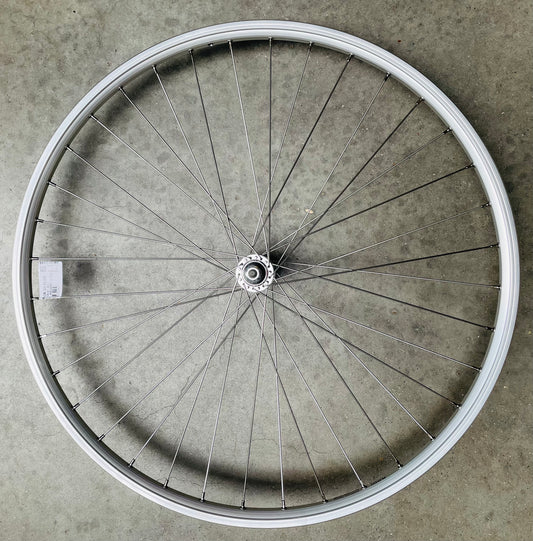 Voorwiel 28" - 622X19 Skorpion alu. zilver FM21 vast sp. 14 RVS