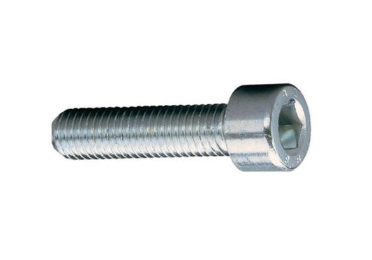Inbusbout M8 x 25 RVS