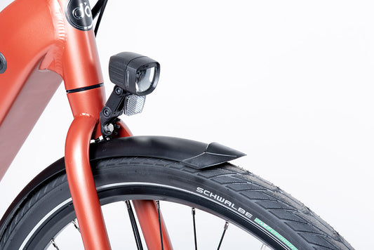 ALDO Interno E-Bike 28-55 cm. Nexus 7RB koper-Shimano Steps E5000 40NM - 504Wh